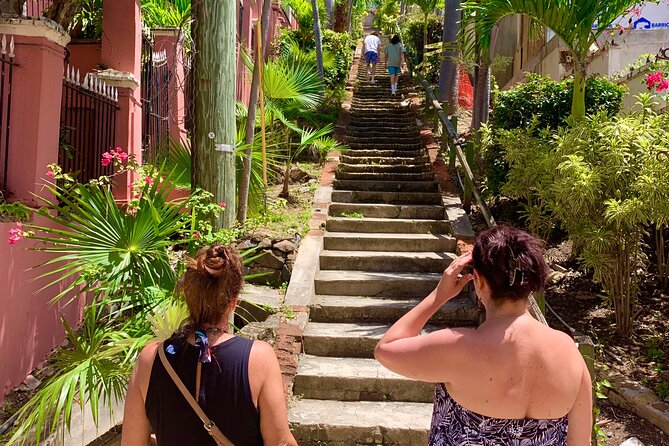 6 Hour St. Thomas Private Sightseeing Tour - More historic texture in Charlotte Amalie, plus Frenchtown