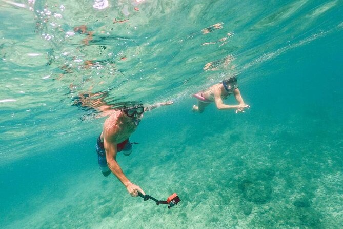 Admission Ticket to Coral World & Coki Point Beach with Snorkeling - Stop 2: Coral World Ocean Park, Trails, and the Underwater Observatory Tower