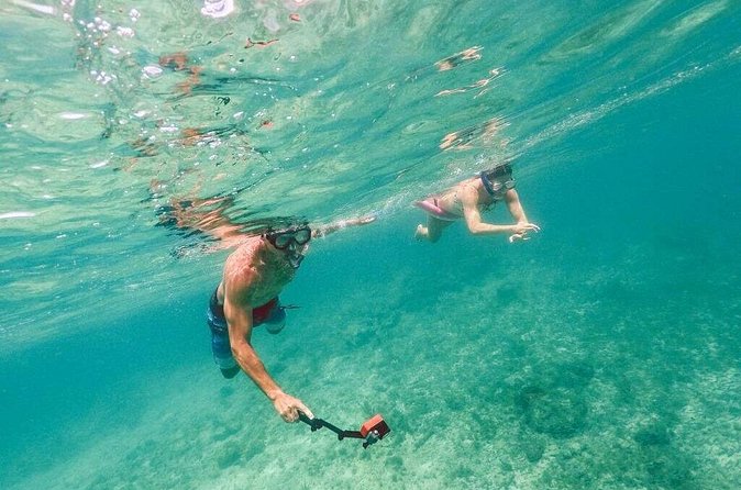 Admission Ticket to Coral World & Coki Point Beach with Snorkeling - Who This Works Best For (and Who Might Want to Rethink)