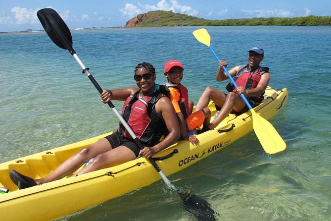Best of Mangrove Lagoon Kayak, Hike and Snorkel Adventure with Picnic Lunch - Key Highlights You’ll Actually Care About