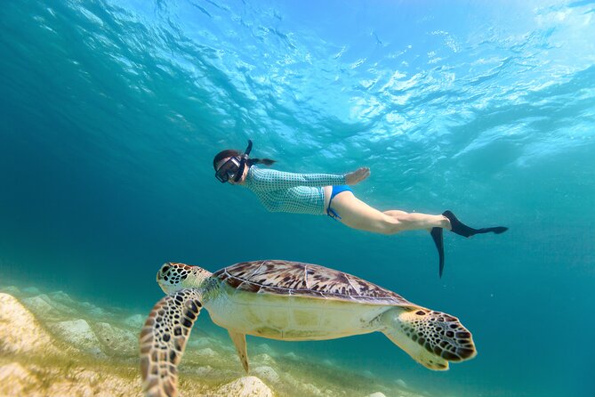 Best of Mangrove Lagoon Kayak, Hike and Snorkel Adventure with Picnic Lunch - What This Tour Gives You in 5 Hours