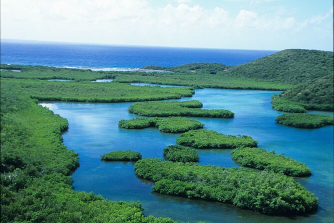 Best of Mangrove Lagoon Kayak, Hike and Snorkel Adventure with Picnic Lunch - Price, Group Size, and Booking Timing: Is $159 Worth It?