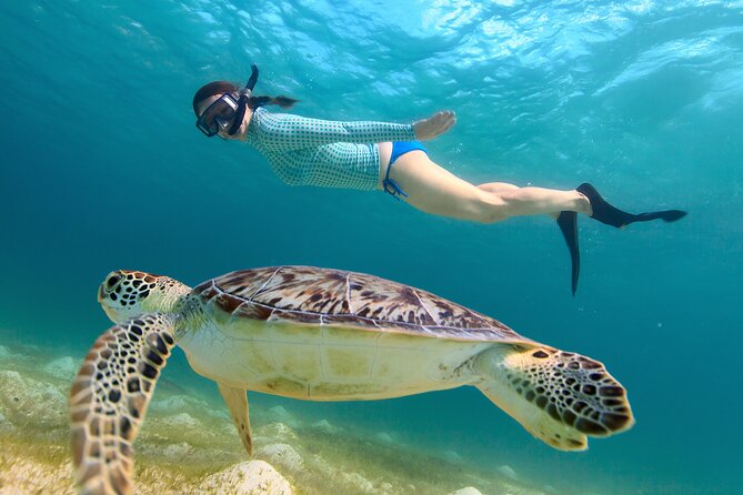 Cas Cay - Kayak Hike and Snorkel Adventure - Key Points Before You Go