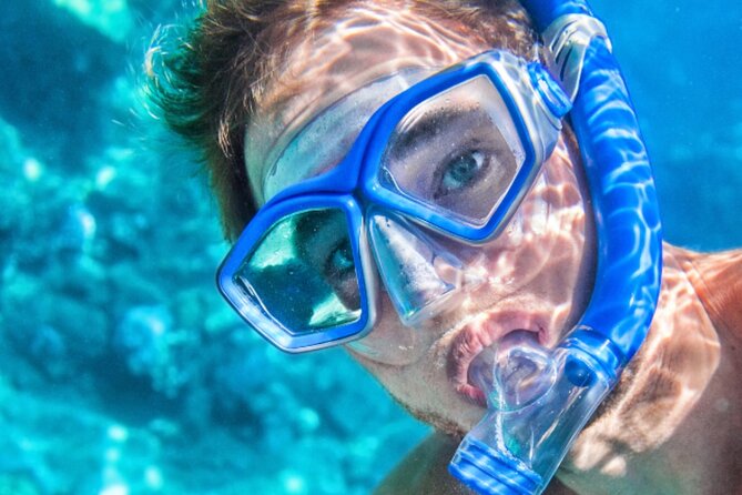 Cas Cay - Kayak Hike and Snorkel Adventure - Hermit Crabs, Plants, and Lagoon Facts You’ll Actually Use