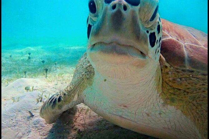Cas Cay - Kayak Hike and Snorkel Adventure - What to Bring (So You Don’t Spend Your Day Thinking About Blisters)