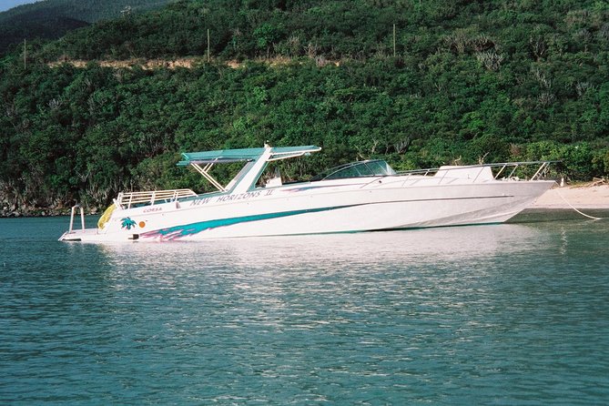 Cocktail Sunset Cruise from Sapphire Beach Resort - Who Should Book This Cruise, and Who Might Skip It