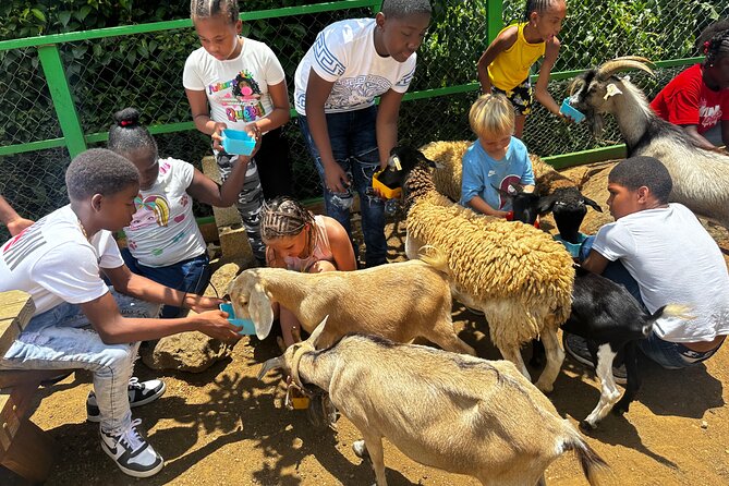 Connors Farms Petting Zoo - How the Connors Farms 2.5-hour experience really plays out