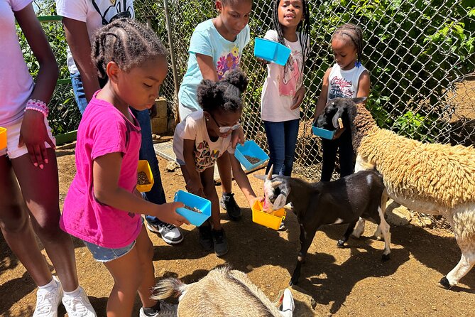 Connors Farms Petting Zoo - Weather matters on St. Thomas, and this tour is weather dependent