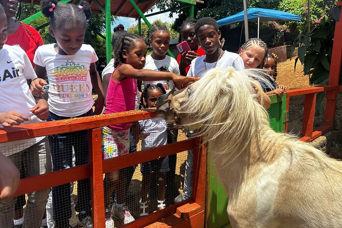 Connors Farms Petting Zoo - From Fortuna Rd to the Black Point Hill viewpoint