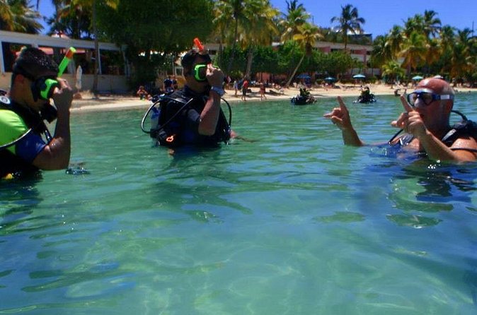 Discover Scuba Diving - Gear Included, So You Can Focus on Breathing and Buoyancy