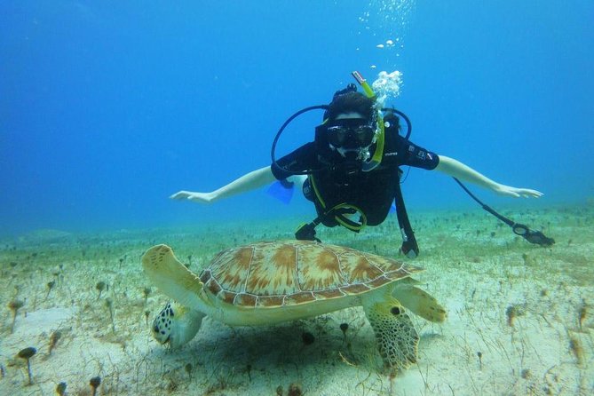Discover Scuba Diving with No Certification in St Thomas - Saga Haven Marina Start: Simple, Direct, and Small-Group Focused