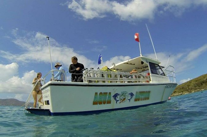 Discover Scuba Diving - What the Half-Day Schedule Feels Like, Step by Step
