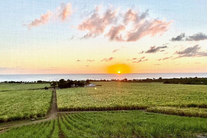 Farm to Bottle Tour at Prosperity Farm Distillery - From Sugarcane to Spirits: What the Tour Teaches You