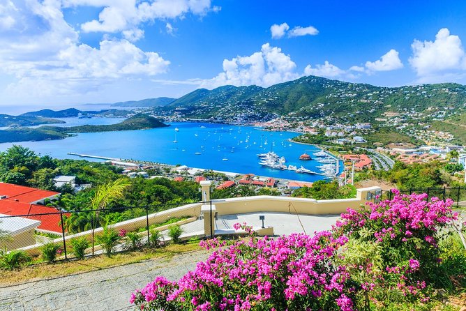 Flavors of St Thomas Walking Food Tour - What you eat and drink: Caribbean classics plus two rum cocktails