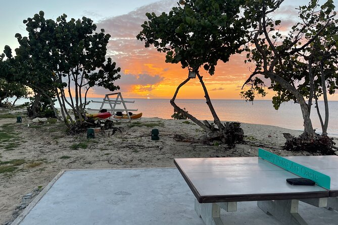 Frederiksted Moke Tour - Price and value: what $85 buys you in real time