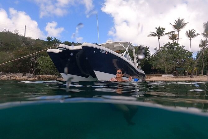Full-Day Private Boat Charter from St. John or St. Thomas - Stop 3: Hurricane Hole, the mangrove float stop