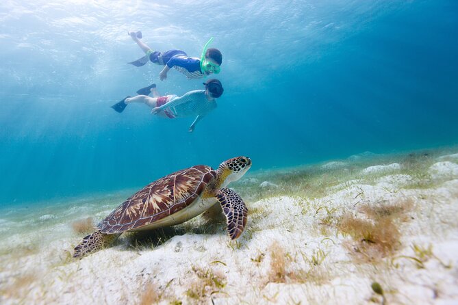 Full or Half Day Private Power Catamaran- USVI Beach and Snorkel - Your St Thomas launch point: Red Hook and a day built for your pace
