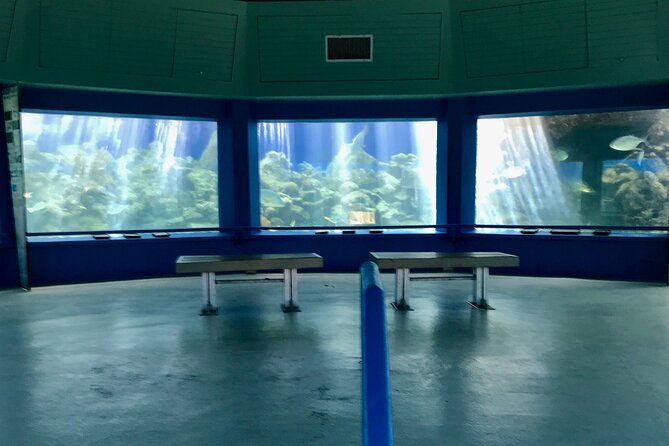 Guided Tour of Coral World Ocean Park & Happy Hour - Coral World after-hours: why the timing feels special