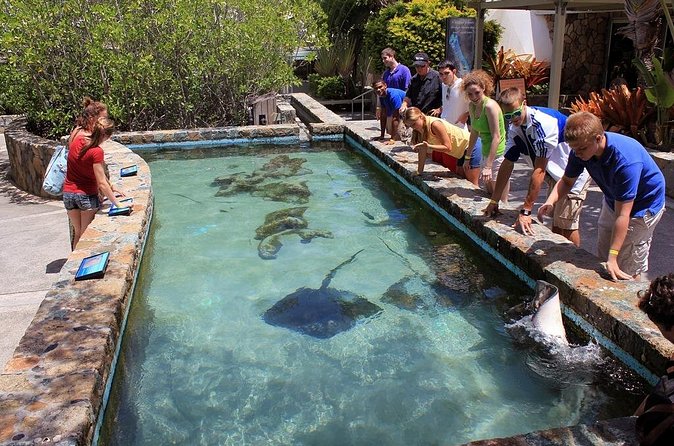 Guided Tour of Coral World Ocean Park & Happy Hour - Happy hour drinks: what “complimentary” means for your plans