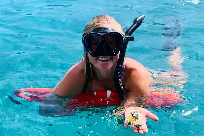 Half Day Luxury Catamaran Turtle Snorkel And Beach - Key points (what makes this tour work)
