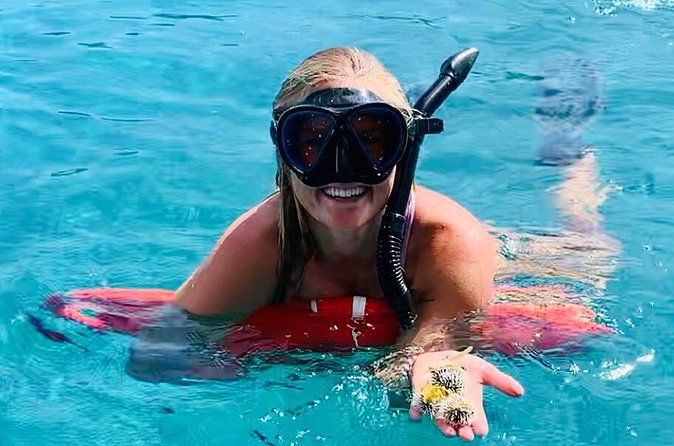 Half Day Luxury Catamaran Turtle Snorkel And Beach - What the guides do (and why people rave about it)