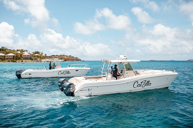 Half-Day Private Charter from St John - The boat: 33-foot power catamaran comfort and what it implies