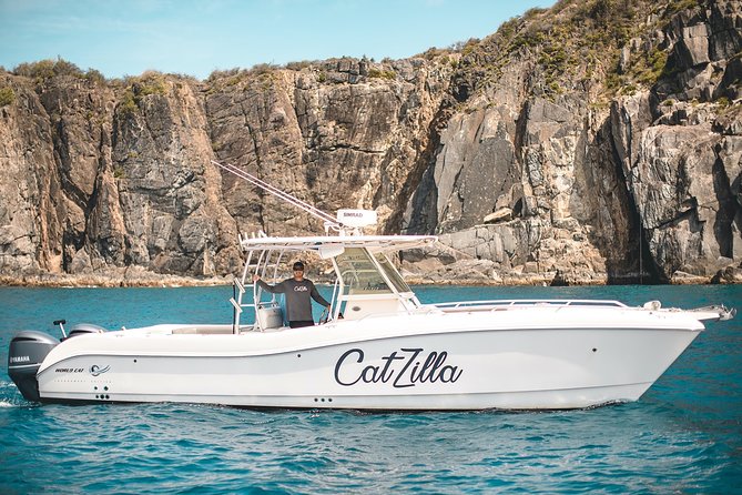 Half-Day Private Charter from St John - Your main decision: Jost van Dyke versus snorkeling