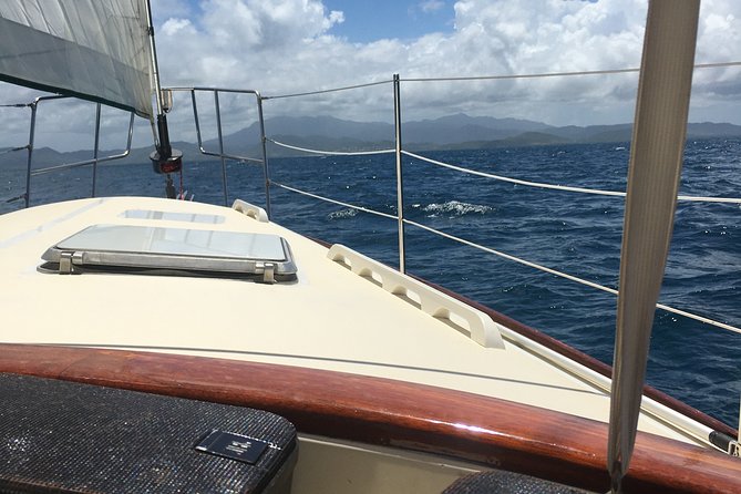 Half Day Sail and Snorkel with the Turtles - Key highlights you should care about