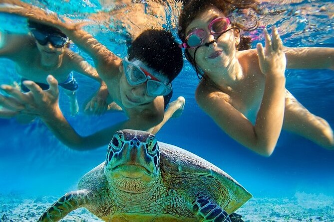 Half Day Snorkeling Tour from Margaritaville - Crew energy, narration, and snorkeling confidence for first-timers