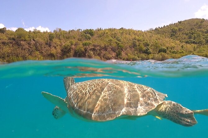 Half or Full-Day Private Boat Charter from St. John or St. Thomas - Key things to know before you book Bonus Time Charters