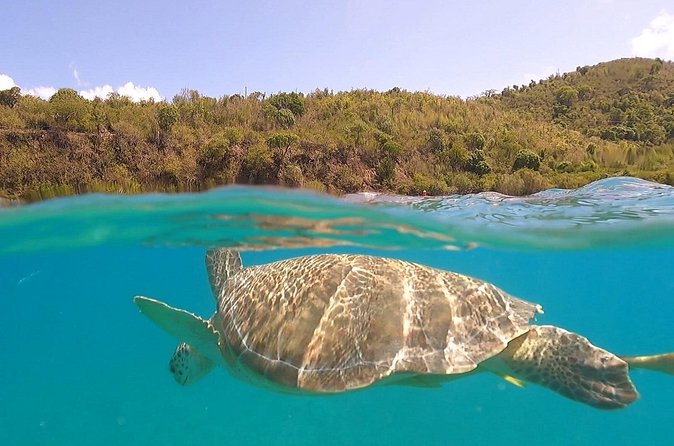 Half or Full-Day Private Boat Charter from St. John or St. Thomas - What the captain actually does for you (beyond driving the boat)