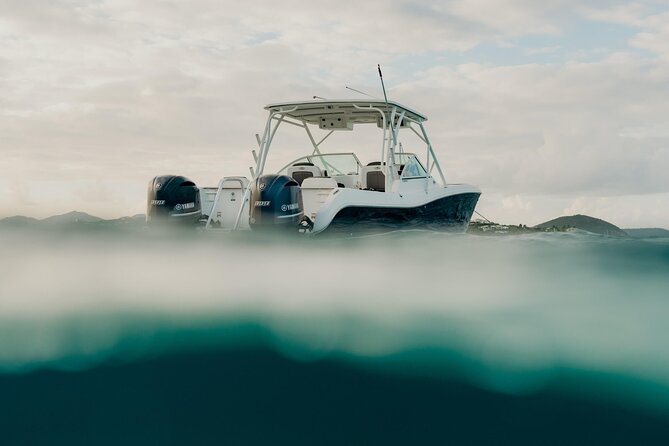 Half or Full-Day Private Boat Charter from St. John or St. Thomas - Cruise day logistics: meeting at American Yacht Harbor