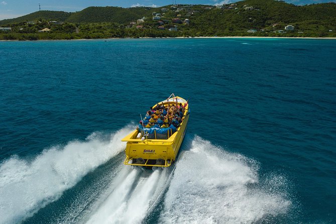 High Speed Harbor Tour from Charlotte Amalie Cruise Port - Captain Anthony: the difference between a thrill ride and a guided one