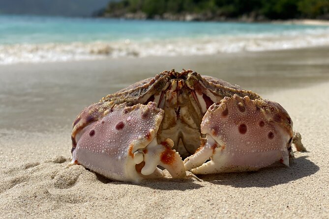 Honeymoon Beach Eco Hike and Snorkel - Where this tour starts in Cruz Bay near the park visitor area