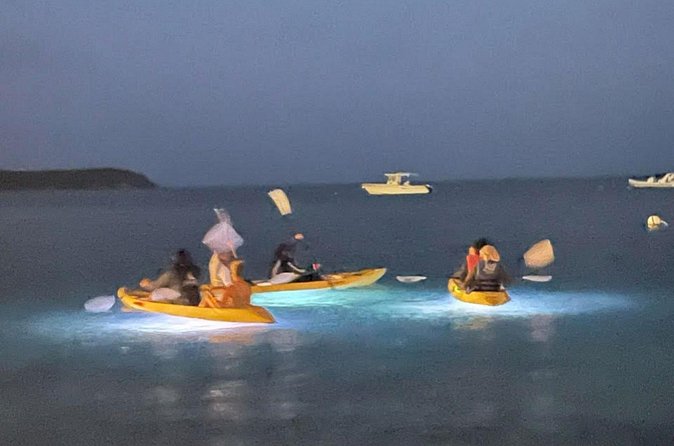 Illuminated Night Kayaking at the Elysian Resort - The Drink-After-You-Land Moment: Rum Punch and Fruit