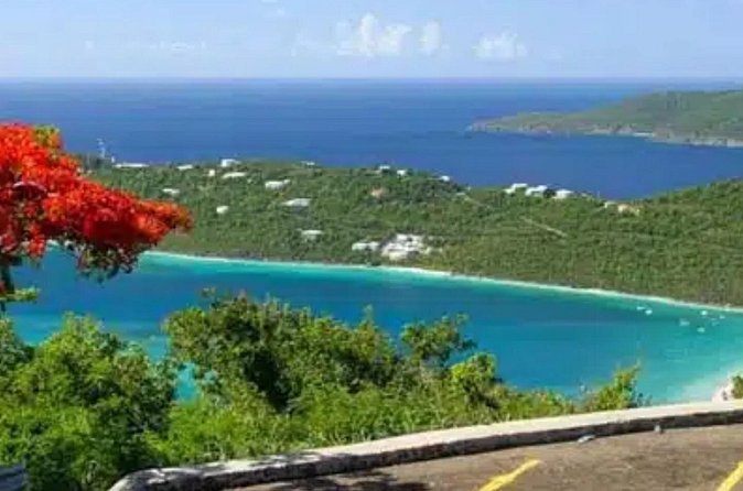 Island Buggy Excursions - How to choose your timing: 1 hour, half-day, or full day
