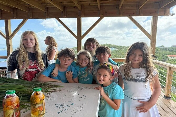 Island Eco Farm Tour with Local Treats and Sapphire Beach Time - Key highlights to know before you go