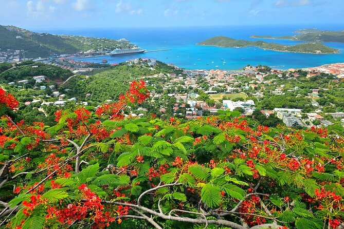 Island Life Jeep Tours - Your Day Your Way Private Excursion! - Your 9 AM to 4 PM day, built around your pace