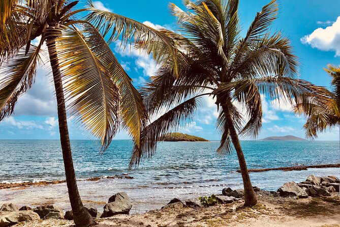 Island Life Jeep Tours - Your Day Your Way Private Excursion! - Getting around: meeting point, pickup flexibility, and how to plan motion-sickness risk