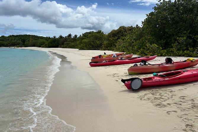 Kayak & Snorkel with Sea Turtles, National Park, St. John - Turtle Point hike: shade, plants, and viewpoints toward the next bays