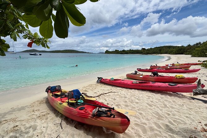 Kayak & Snorkel with Sea Turtles, National Park, St. John - Why the guides make or break this tour