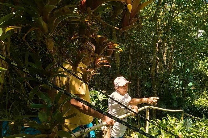 Luxury Private Tour in ST.Thomas(6per group) - Mountain Top: Highest Views, Souvenir Time, and Banana Daiquiris