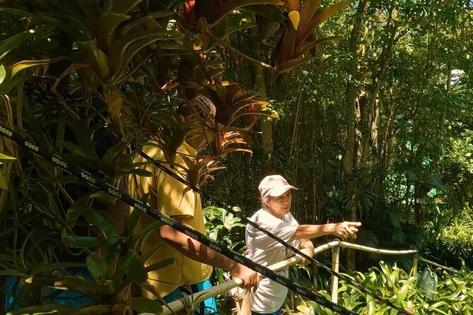 Luxury Private Tour in ST.Thomas(6per group) - Charlotte Amalie: Duty-Free Shopping and Danish Streets