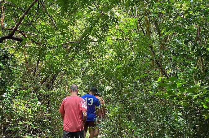 Magens Bay Trail Hiking Tour - The Real Meaning of the Moderate Difficulty