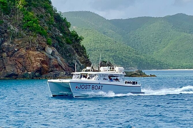 Maho Bay Turtle Snorkel with Lunch and Bar at Frenchman's Reef - First water time: snorkeling with green and hawksbill sea turtles