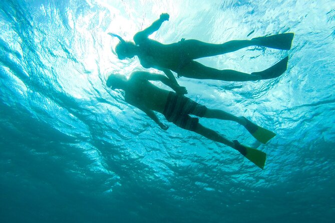 Maho Bay Turtle Snorkel with Lunch and Bar at Frenchman's Reef - Lunch on board: picnic-style comfort after your first snorkel