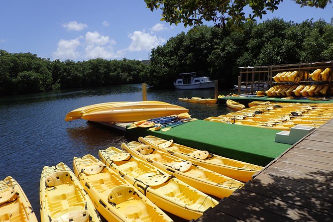 Mangrove Lagoon Kayak Rental in St Thomas - Getting Your Kayak Right: Single vs. Double and the Safety Start