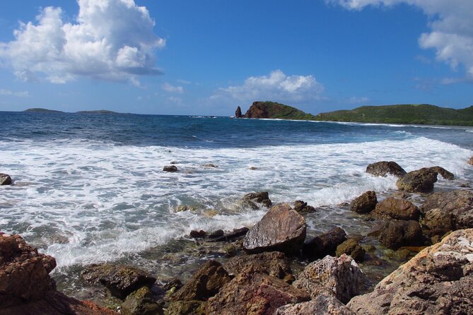Mangrove Lagoon Kayak Rental in St Thomas - Wildlife Spotting That Actually Feels Close