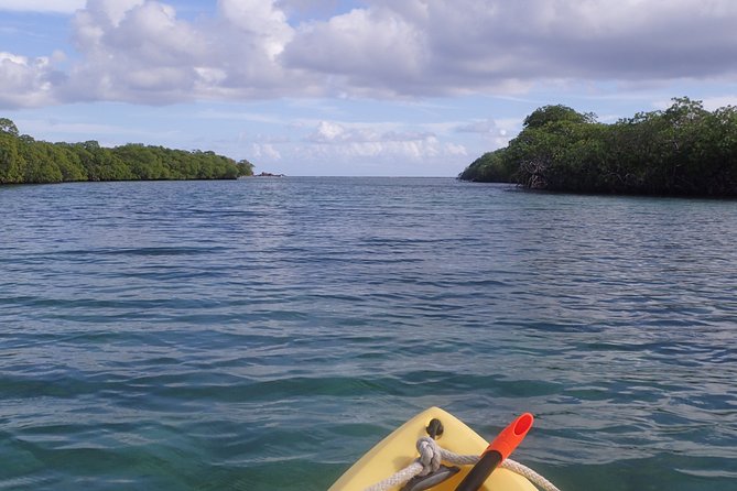 Mangrove Lagoon Kayak Rental in St Thomas - Meeting Point and Timing: Mariendahl Road in Nadir