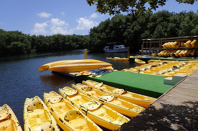 Mangrove Lagoon Kayak Rental in St Thomas - Value for $69 Per Person: What You’re Paying For